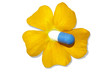 fleur thérapeutique