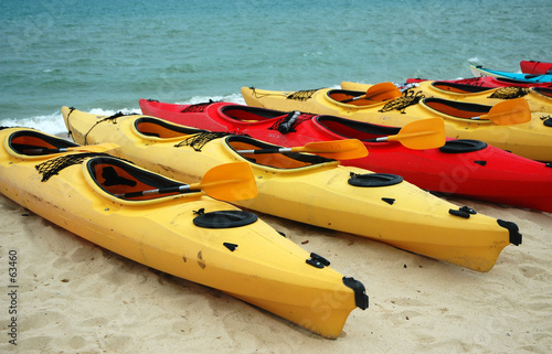 canoes