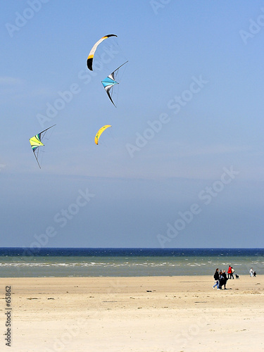 cerf-volants
