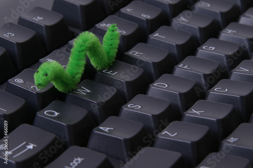 computer worm computer worm