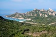 lion de roccapina