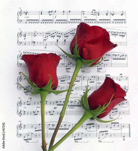 roses and music roses and music