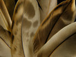 Foto: feather-up your life :-) (crop) feather-up your life :-) (crop)