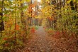 fall
