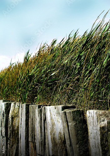 herbes