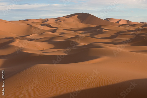 sahara
