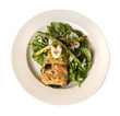 lunch plate