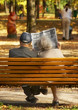 relaxation of the aged couple