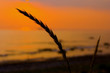sunset at baltic sea sunset at baltic sea