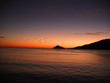 sunset birds
