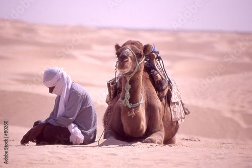 un descanso en el desierto un descanso en el desierto