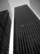 buildings en nuance de gris