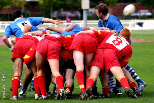 rugby mélée sortie de ballon