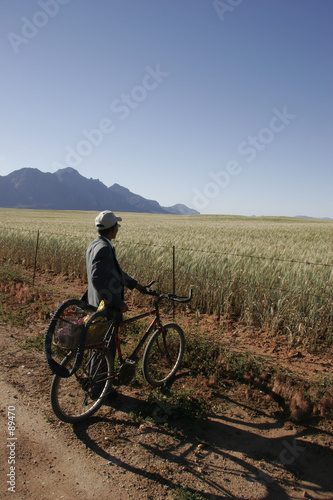 pondering the harvest pondering the harvest