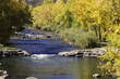 fall brillliance