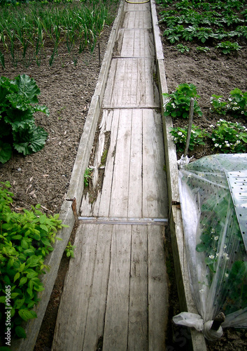 jardin potager