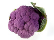 cauliflower