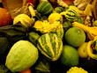 gourds galore