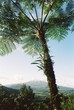 montagne pelée martinique