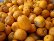 pumpkins