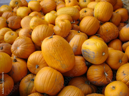 pumpkins pumpkins