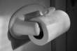 toilet paper roll holder