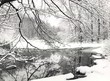 winter scene