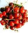 cherry