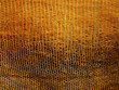 snake skin texture