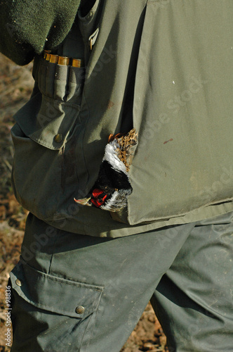 chasse gibier