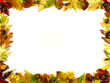 frame of leafs iii frame of leafs iii