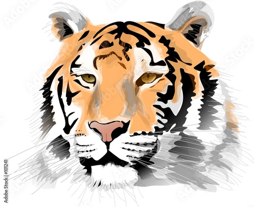 tiger head