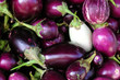 eggplants