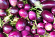 shiny eggplants