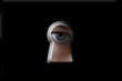 spy