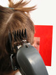 hair grooming