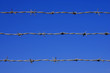 Photo: barbed wire fence detail barbed wire fence detail