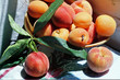 fruits d'été