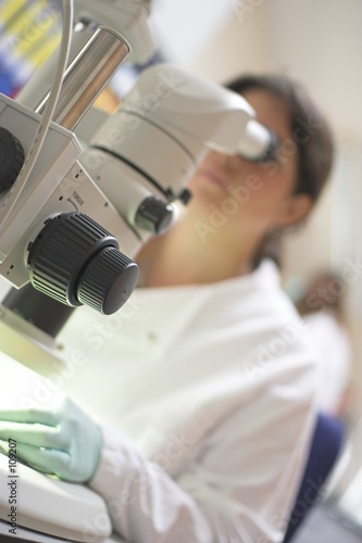 woman using microscope in office woman using microscope in office