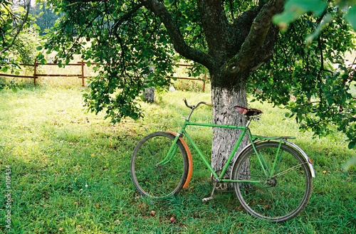 bicycle under an apple-tree bicycle under an apple-tree