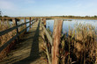 pont des marais