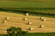 golden hay bales golden hay bales
