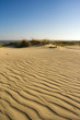 dunes dunes