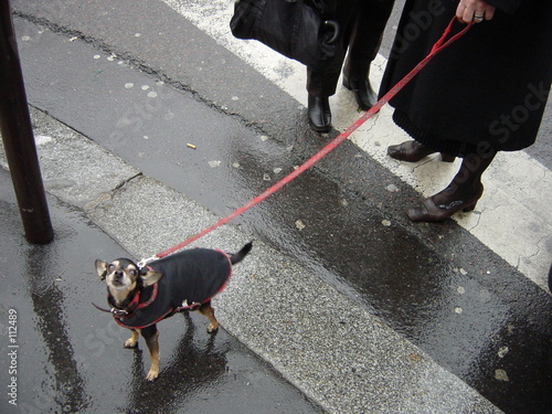 ti-chien ti-chien