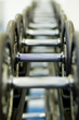 row of dumbbells 1