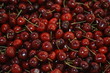 cerise cerise