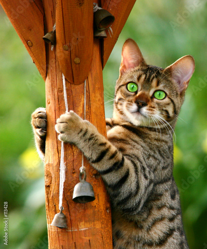 Clinging On