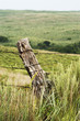 fence