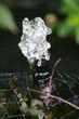small garden fountain small garden fountain