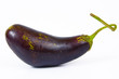 guinea squash